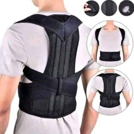 Back Support Belt