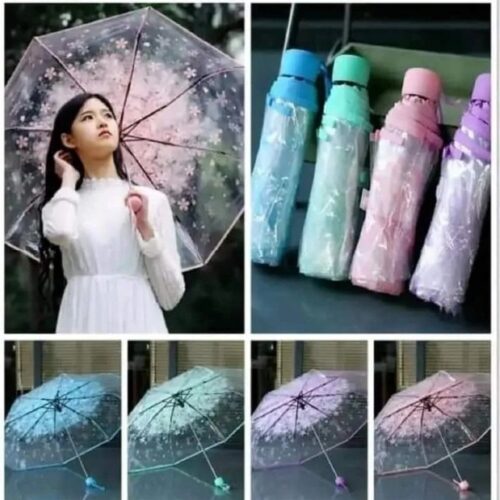 Transparent Umbrella